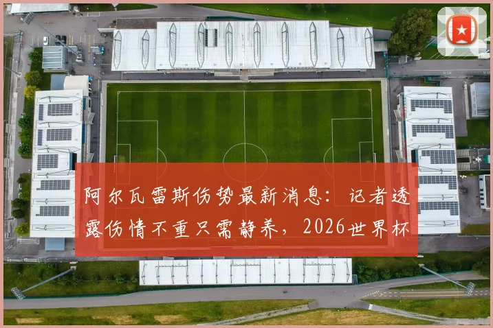 阿尔瓦雷斯伤势最新消息:记者透露伤情不重只需静养,2026世界杯参赛前景明朗
